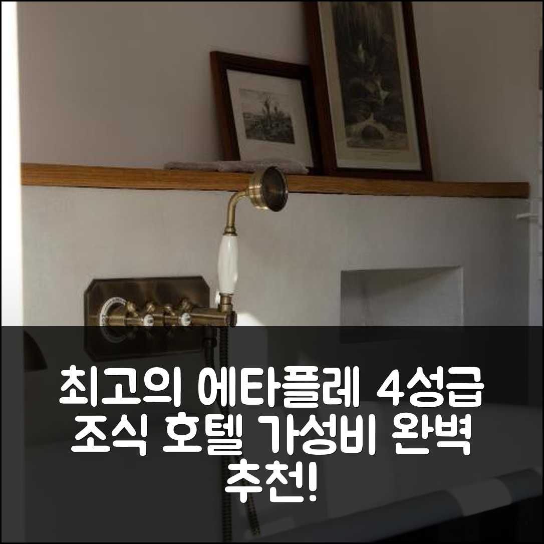 에타플레 숙소 여행 호텔 추천 르 루아틀레 | 4성급 조식과 가성비가 뛰어난 완벽한 선택 7가지