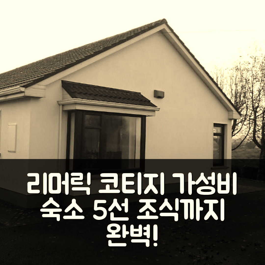 리머릭 숙소 여행 믹스 코티지 호텔 추천 조식과 가성비 뛰어난 5가지 이유