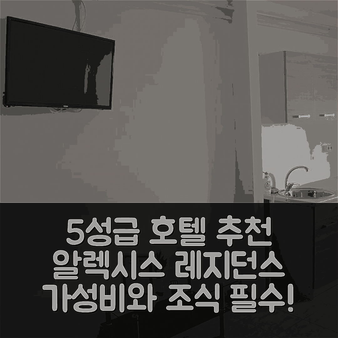 이아시 숙소 여행 호텔 추천 알렉시스 레지던스 5 | 5성급 가성비와 조식, 수영장 정보 7가지