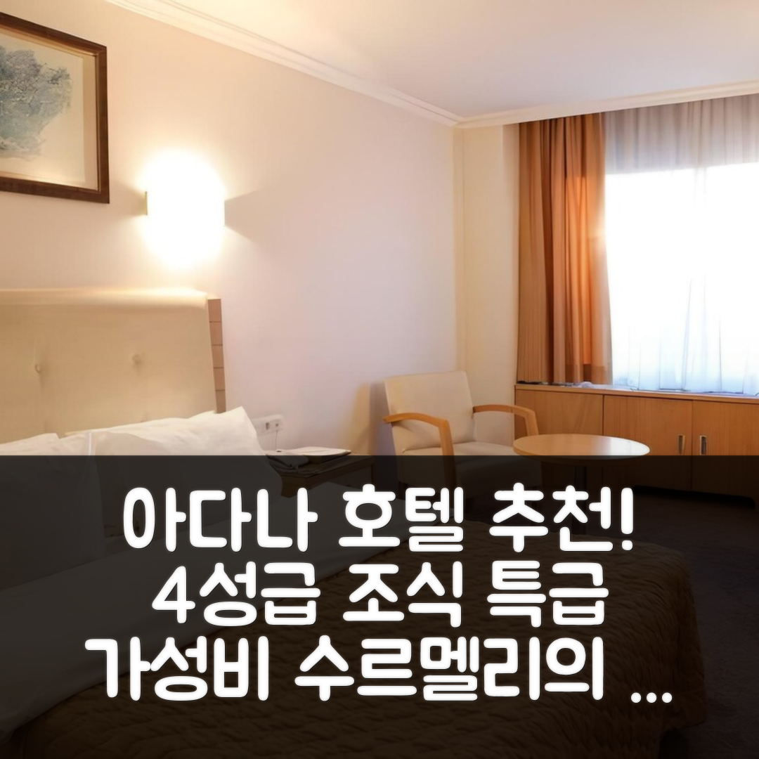 아다나 숙소 여행 호텔 추천 수르멜리 아다나 호텔 | 4성급 조식과 가성비 뛰어난 6가지 특징