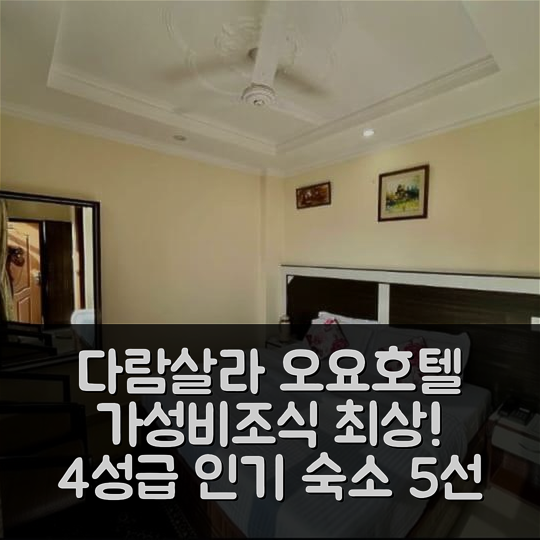 다람살라 숙소 여행 호텔 추천 오요 호텔 아누즈 레겐시 | 가성비와 조식이 뛰어난 4성급 호텔의 매력 5가지