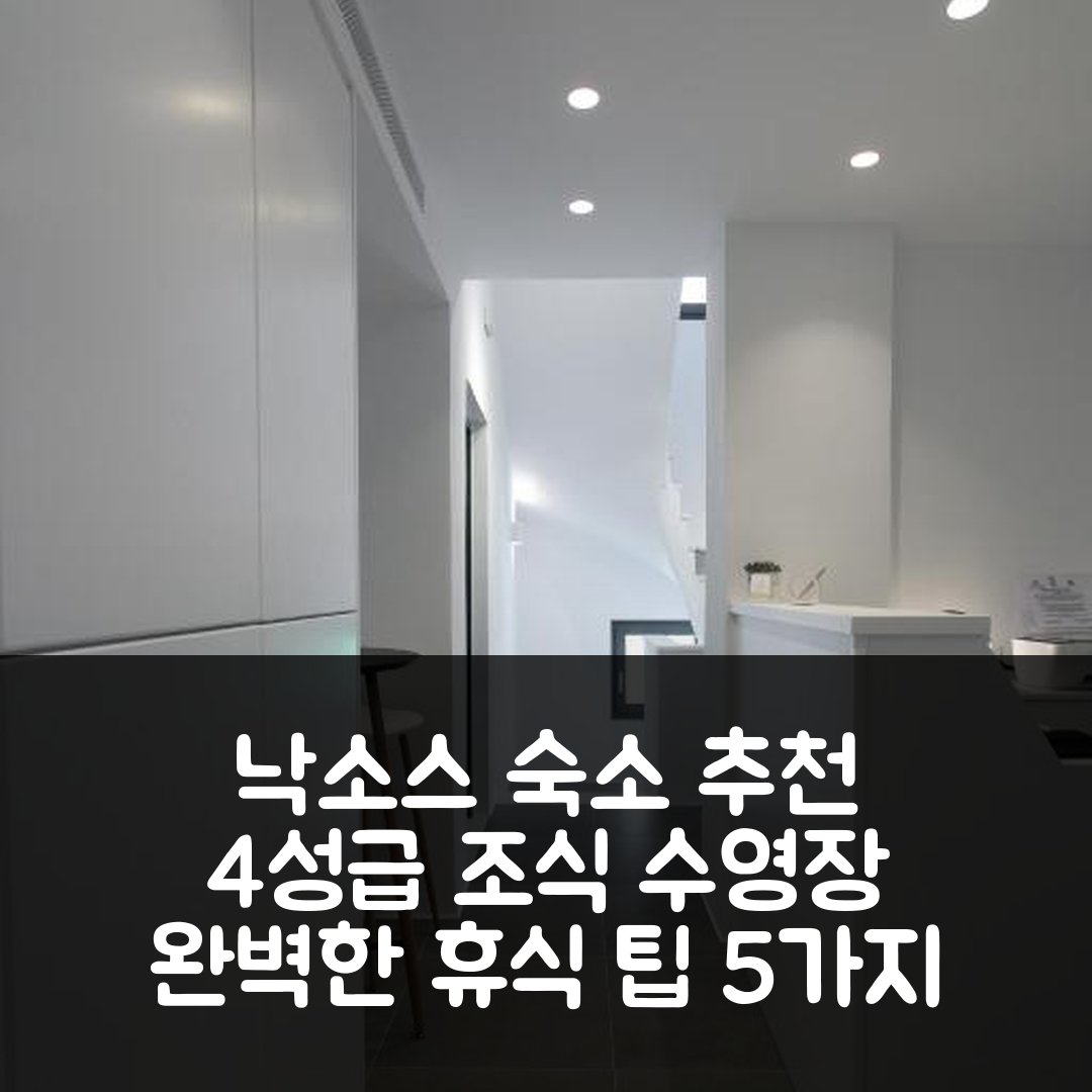 낙소스 섬 숙소 여행 호텔 추천 보르타 낙소스 | 4성급 조식과 수영장으로 즐기는 완벽한 휴식 5가지 팁