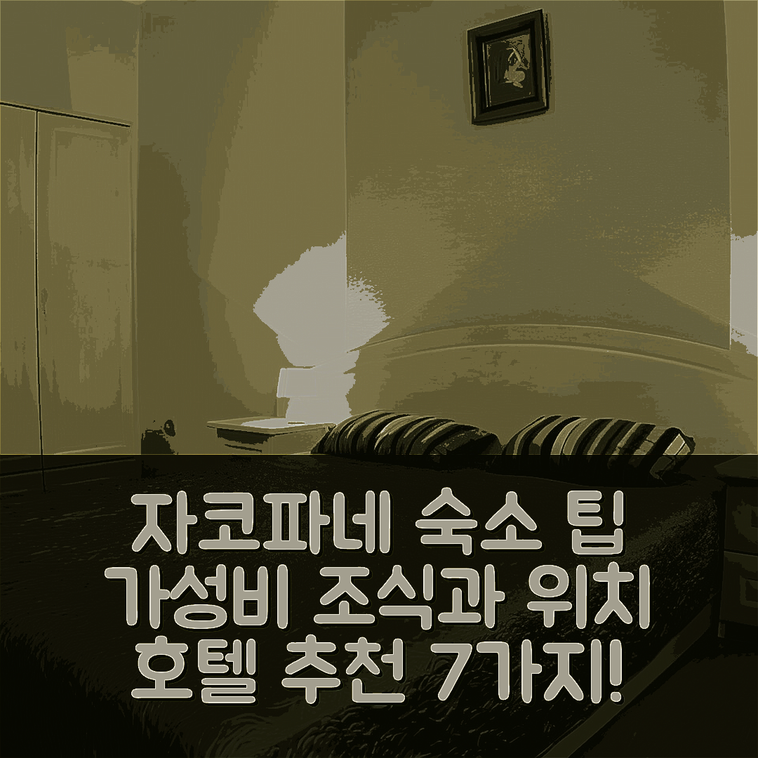 자코파네 숙소 여행 호텔 추천 아파트먼트 부울바리 자코파네 | 가성비 뛰어난 조식과 위치 정보 7가지 팁