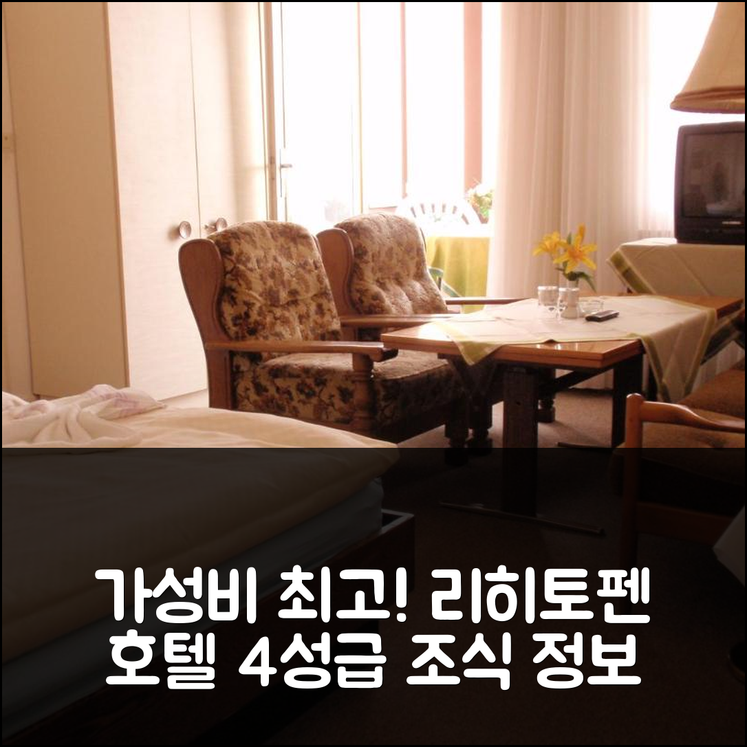 바트 하르츠부르크 숙소 여행 호텔 추천 리히토펜 호텔 | 가성비 좋은 4성급 위치와 조식 정보 5가지