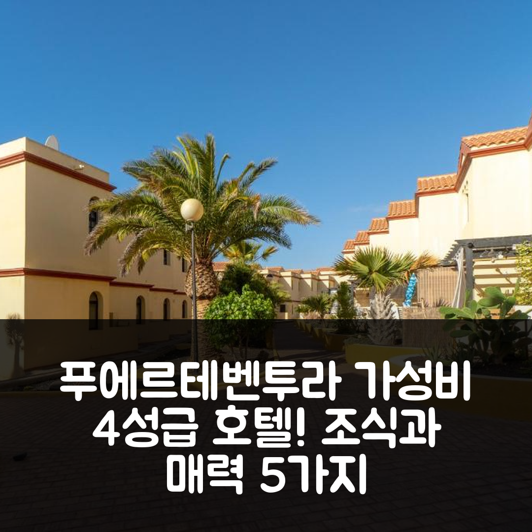 푸에르테벤투라 숙소 여행 호텔 추천 카사 우고 | 가성비 좋은 4성급 조식과 위치의 매력 5가지