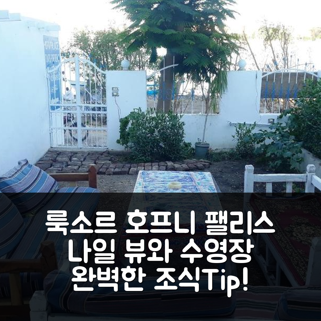 룩소르 숙소 여행 호텔 추천 호프니 팰리스 나일 뷰 | 조식과 수영장으로 완벽한 3가지 휴식 팁