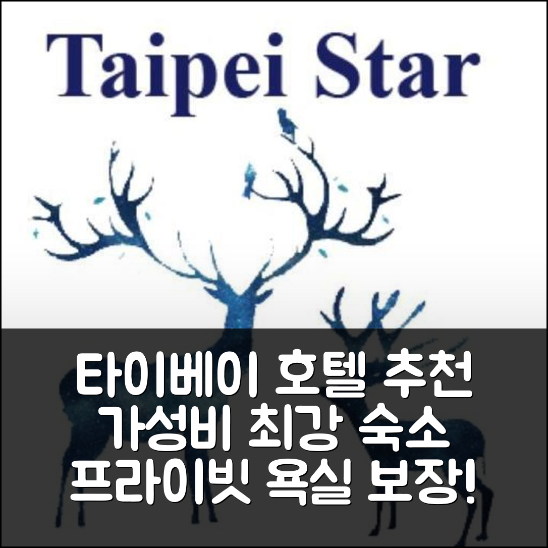 타이베이 숙소 여행 호텔 추천 스위트 타이베이 스테이션 | 30m² 프라이빗 욕실과 가성비 좋은 위치 5가지 팁