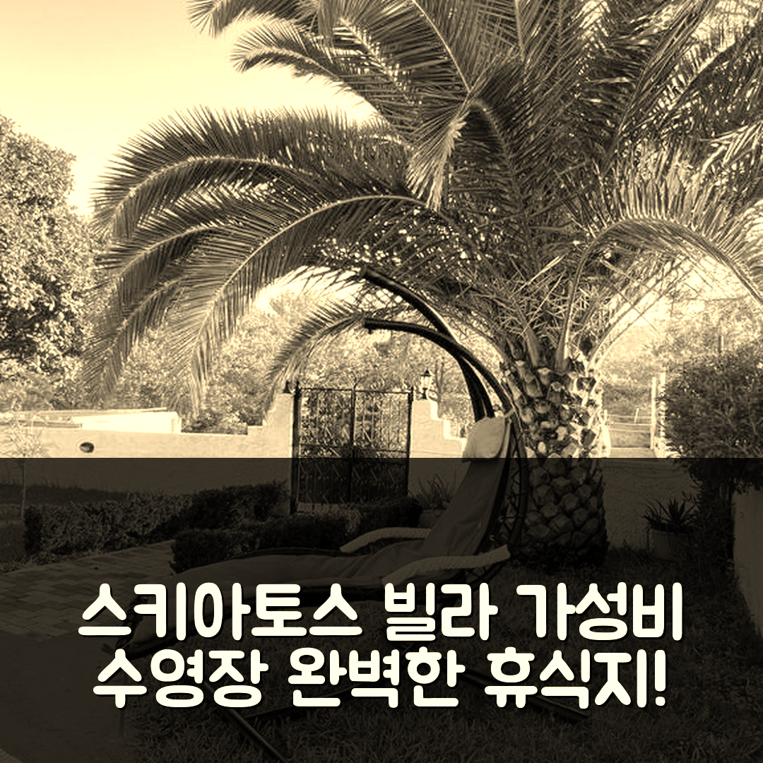 스키아토스 숙소 여행 빌라 플라타니아스 | 5가지 이유로 가성비와 수영장 완벽한 휴식지
