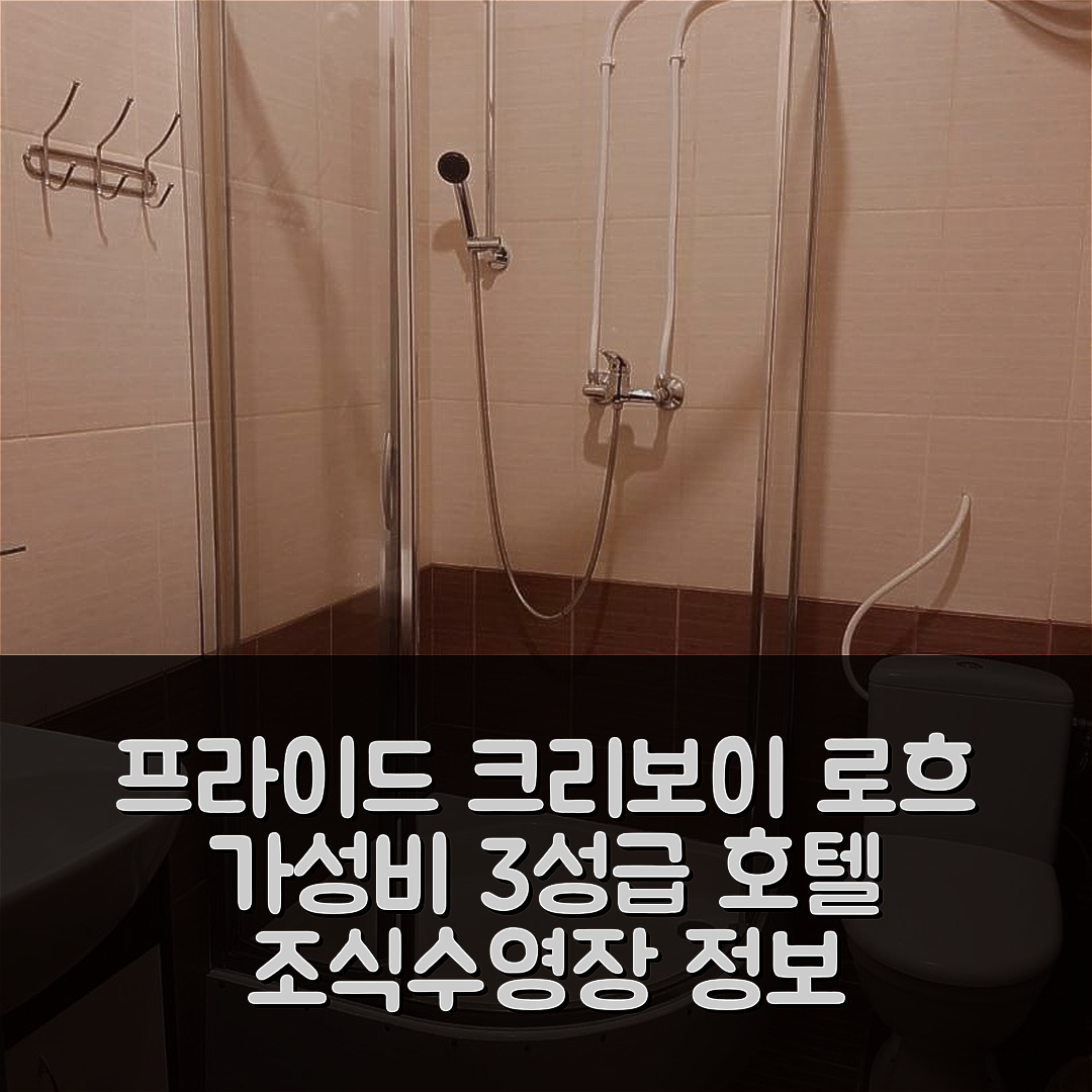 크리비 리흐 숙소 여행 호텔 추천 프라이드 크리보이 로흐 | 가성비 뛰어난 3성급 조식과 수영장 정보 5가지
