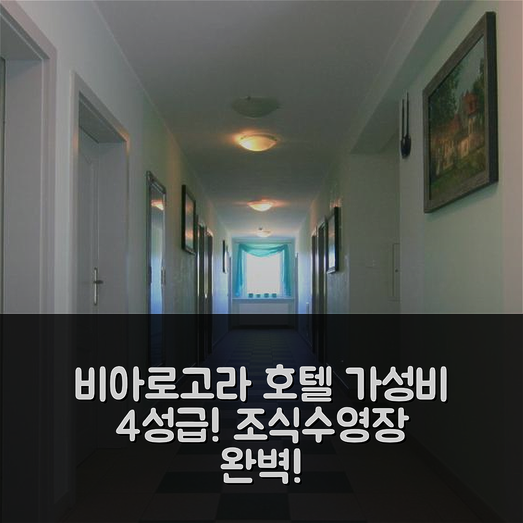 비아로고라 숙소 여행 호텔 추천 미콜라이 호텔 | 가성비 뛰어난 4성급 조식과 수영장 정보 7가지