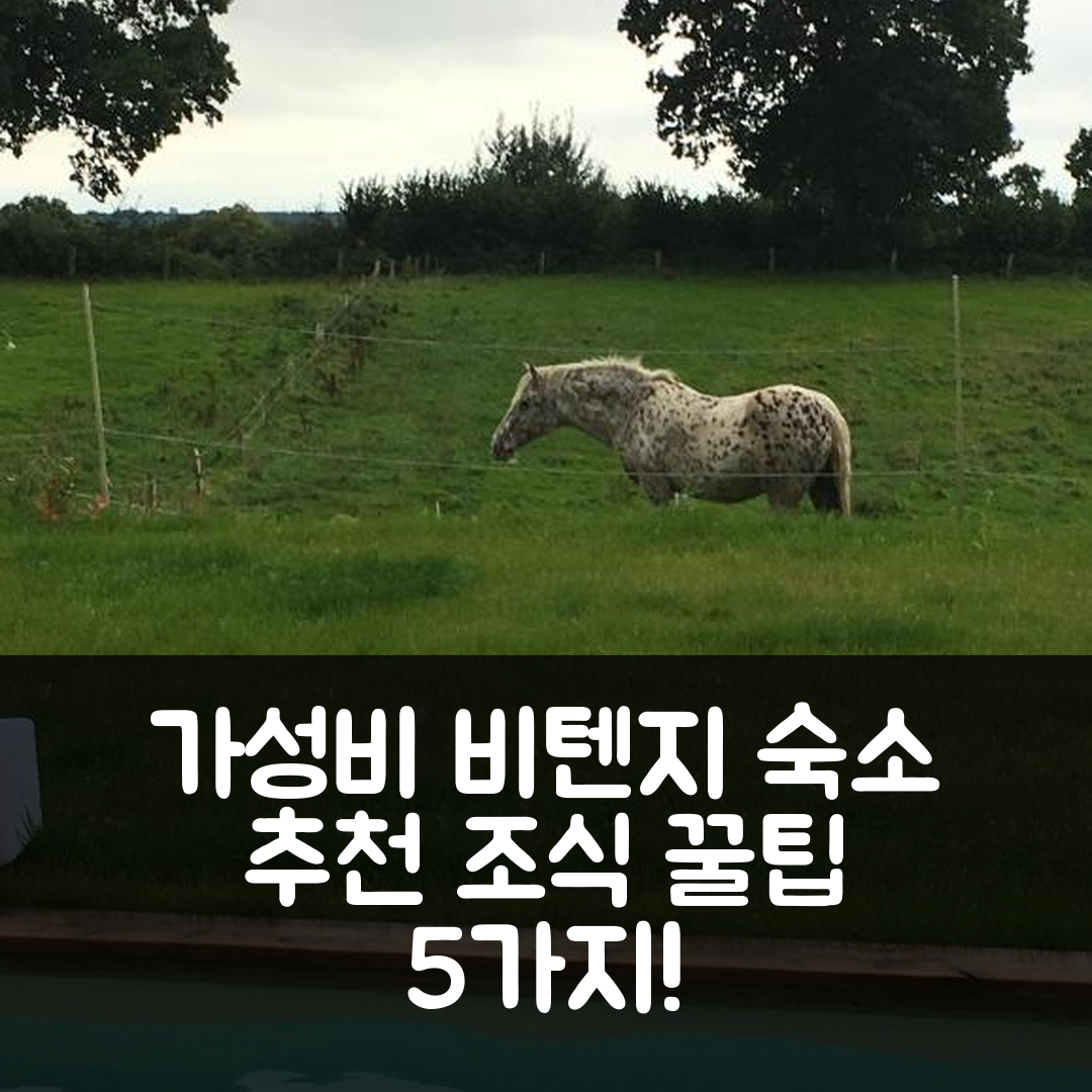 그로스 비텐지 숙소 여행 호텔 호엘루프트 암 비텐제 아파트 3 | 가성비 우수 위치와 조식 정보 5가지 팁