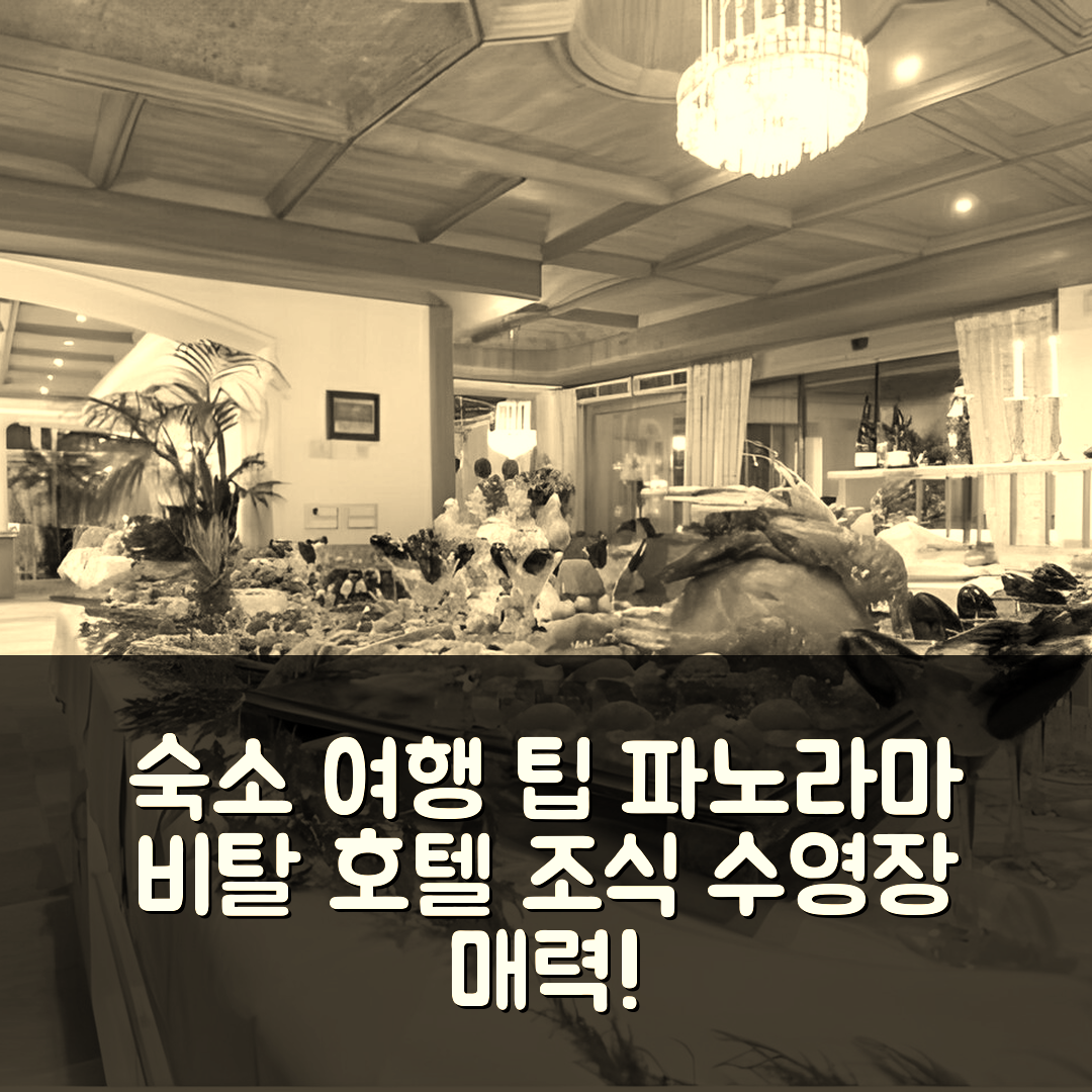 티롤로 숙소 여행 호텔 추천 파노라마 비탈 호텔 림멜 | 조식과 수영장이 매력적인 5성급 가성비 좋은 예약 팁 7가지