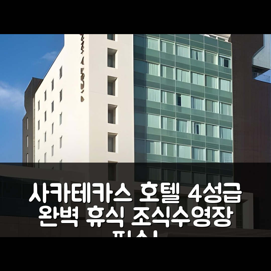 사카테카스 숙소 여행 호텔 추천 피에스타 인 사카테카스 | 4성급 조식과 수영장으로 완벽한 휴식지 7가지 팁